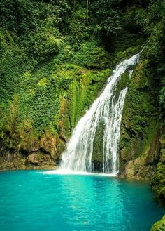 a waterfall in the middle of a body of water surrounded by lush green trees and greenery