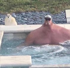 a man in the water with two polar bears behind him and one is wearing sunglasses