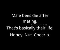 a black and white photo with the words male bees die after mating that's basically their life honey nut cheerio