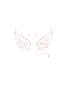 the outline of two wings on a white background, one is drawn with red ink