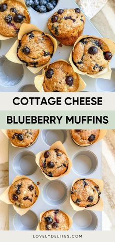 blueberry muffins in paper cups with text overlay that reads cottage cheese blueberry muffins