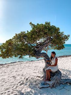 a woman sitting on top of a tree next to the ocean