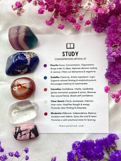 Study Concentration, Crystal Dog, Something Wicked, Clear Thinking, Good Intentions, Crystals Healing Properties, High Vibes, Go Getter, Crystal Collection