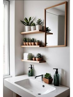 a bathroom sink sitting under a mirror next to a shelf filled with succulents