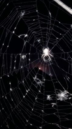 a spider's web is shown in the dark