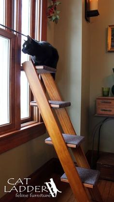 a black cat sitting on top of a wooden stair case next to a large window