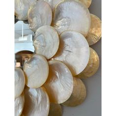 a large group of seashells hanging from the side of a wall