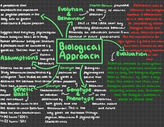 a blackboard with green and red writing on it that says,'bioticical approach '