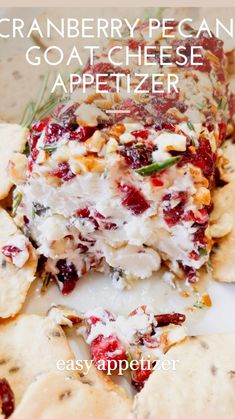 cranberry pecan goat cheese appetizer with crackers