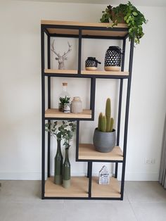 three shelves with plants and vases on them