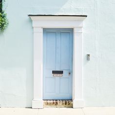 a blue door is on the side of a white building with a plant hanging above it