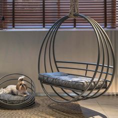 a dog sitting in a hanging chair next to a window with blinds on the windowsill