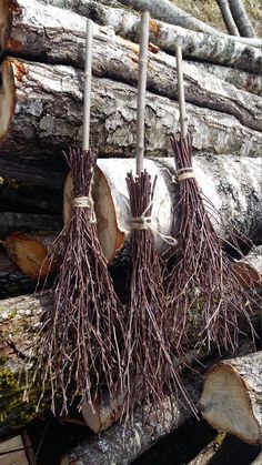 three bundles of twigs are tied to logs