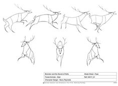 how to draw deer from different angles and directions for the head, neck, and tail