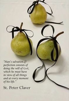 three pears tied up with black ribbon on top of a white sheet that says, man's salvation & perfection consists of doing the will of god which he must have and at every moment of his life