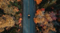 an aerial view of a car driving down a road surrounded by trees in the fall