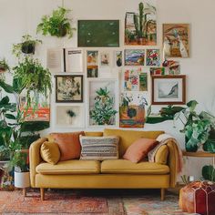 a living room filled with lots of plants and pictures on the wall above it's couch