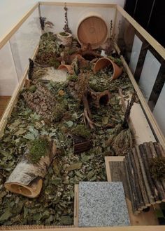 a room filled with lots of different types of plants and wood pieces on the floor