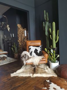 a living room filled with furniture and cactus plants