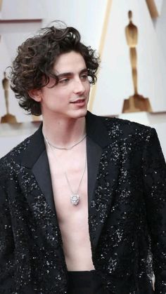 a man with curly hair wearing a black suit and diamond necklace on the oscars red carpet