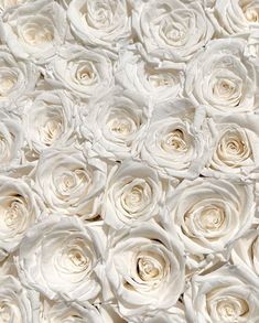 a bunch of white roses are arranged together