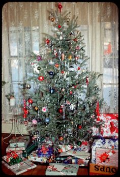 a small christmas tree sitting in front of a window with presents on the floor next to it