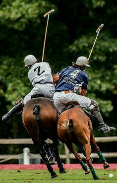 two men playing polo on horses in the field