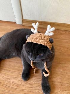 a black cat wearing a knitted reindeer hat on top of a wooden floor next to a door