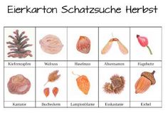 Die Kinder müssen die aufgezeichneten Dinge im Wald suchen und in das entsprechende Fach im Eierkarton legen. Autumn Crafts, Kindergarten Activities, Play Time, Kids Birthday Party, Diy For Kids, Kids Party, Montessori, Kindergarten, Spa