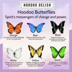 Hoodoo Delish, Butterfly Meaning, Hoodoo Magic, Spirit Animal Meaning, Hoodoo Spells, Spirit Signs, Butterfly Quotes