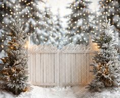 two snow covered trees in front of a white fence with christmas lights on the background