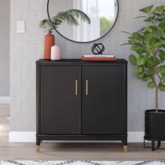 a black cabinet with a mirror and potted plant