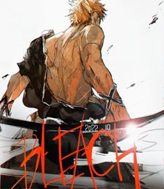 Bleach Pictures