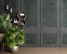 a potted plant sitting on top of a wooden floor next to a shelf filled with plants