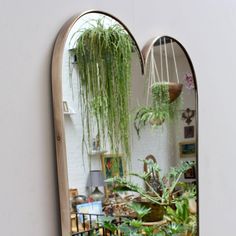 a mirror that has some plants in it