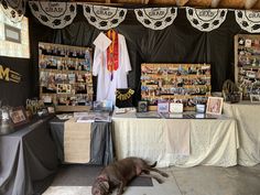 a dog laying on the ground in front of a table with pictures and t - shirts