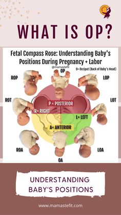 what is op? info sheet for the baby's position