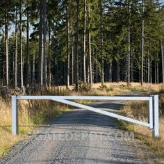 an open gate on the side of a dirt road in front of tall pine trees