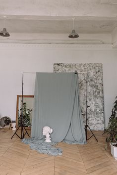 a photo studio set up in an empty room with light and plants on the floor