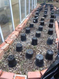 there are many black pots in the ground