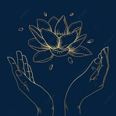 two hands holding a lotus flower on a dark blue background, illustration, graphic png and psd