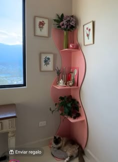 a cat laying on top of a pink shelf next to a window in a room