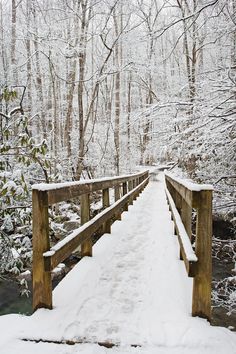 a wooden bridge over a stream in the snow