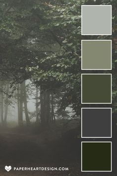 a forest with trees and fog in the background is an example of color palettes