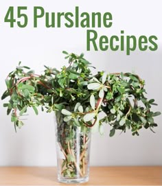 a vase filled with green plants on top of a wooden table