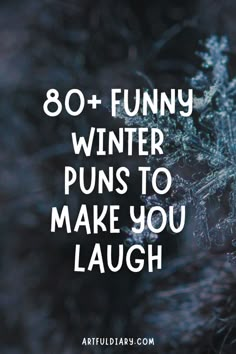 snowflakes with the words, 80 funny winter puns to make you laugh