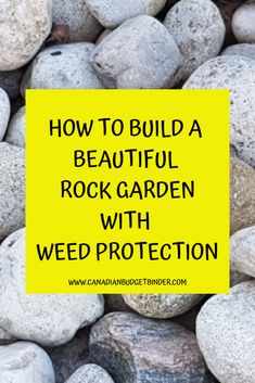 Big Aesthetic, River Rock Garden, Rock Landscape, Funny Vine, River Rock Landscaping, Garden Rake, Rock Garden Plants, Rock Garden Design, Garden Weeds