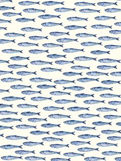 a large group of blue fish swimming in the ocean on a white and black background