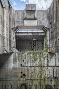 an abandoned concrete building with vines growing on the walls and in the doorway is a mirror