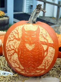 an owl carved into a pumpkin sitting on hay